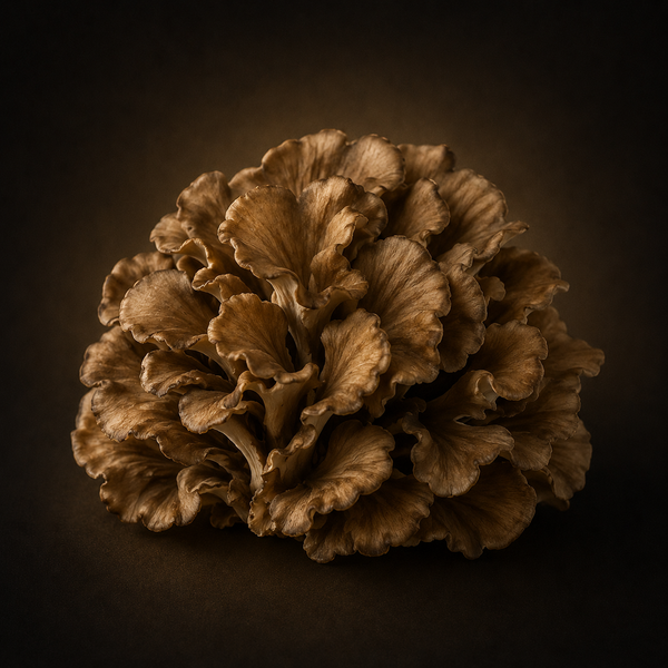 Maitake